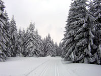 Winter Schsische Schweiz - www.pixelquelle.de